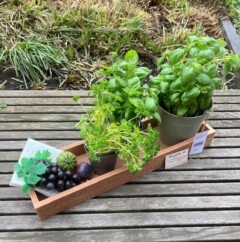 Kasse til altan / terrasse.